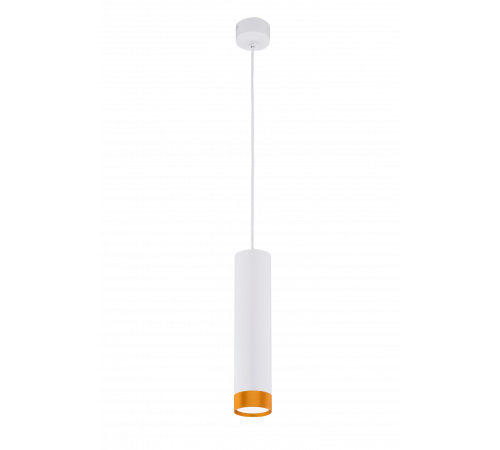 531C SWT+SWT+SGD (1/20) Светильник (RL)