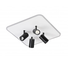 2468/480 WHITE+BLACK (1) Люстра (RL) #