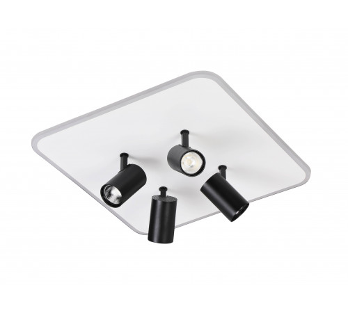 2468/480 WHITE+BLACK (1) Люстра (RL) #