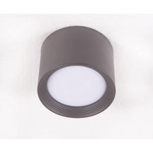 2559W/1 FGY (1/50) Светильник потолочный NW