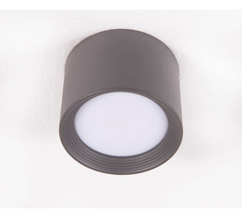 2559W/1 FGY (1/50) Светильник потолочный NW