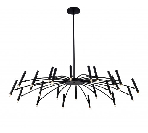 D2122-DW-24 BLACK (1) Люстра NW