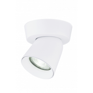 SL-50170-1R-GU-WH (1/20) Светильник