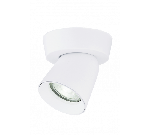 SL-50170-1R-GU-WH (1/20) Светильник