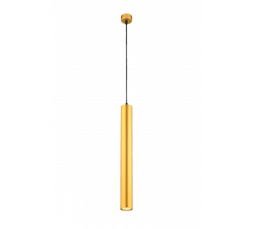 1015G-L GOLD (1/30) Светильник (RL)