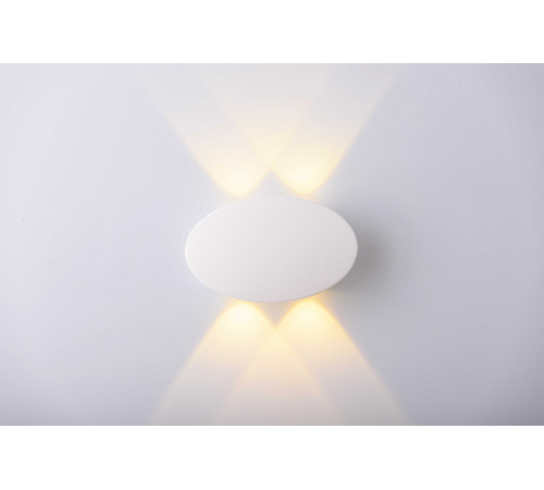 20172 SWH (1/30) Светильник