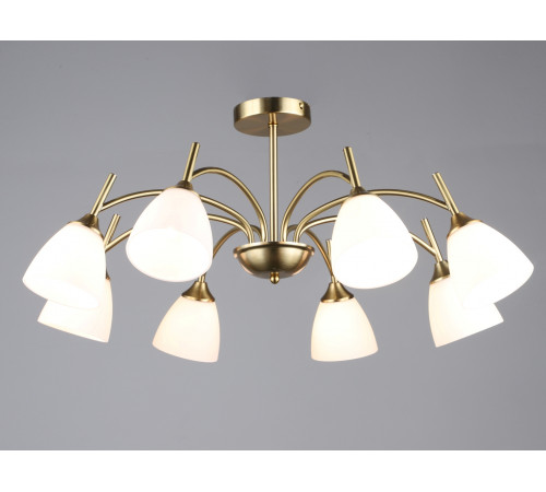 7349/8 COP (1) Люстра RL