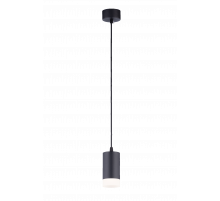 545RT SBK (1/30) Светильник (RL)