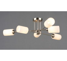 7356/6 SN (1) Люстра RL