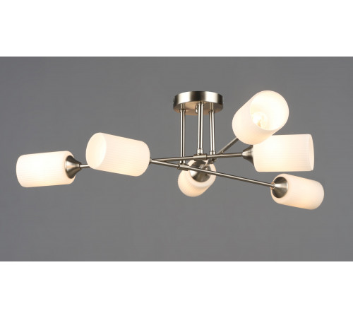 7356/6 SN (1) Люстра RL