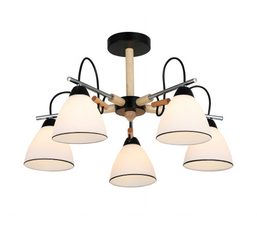 26011/5 CHROME+BLACK (1) Люстра RL